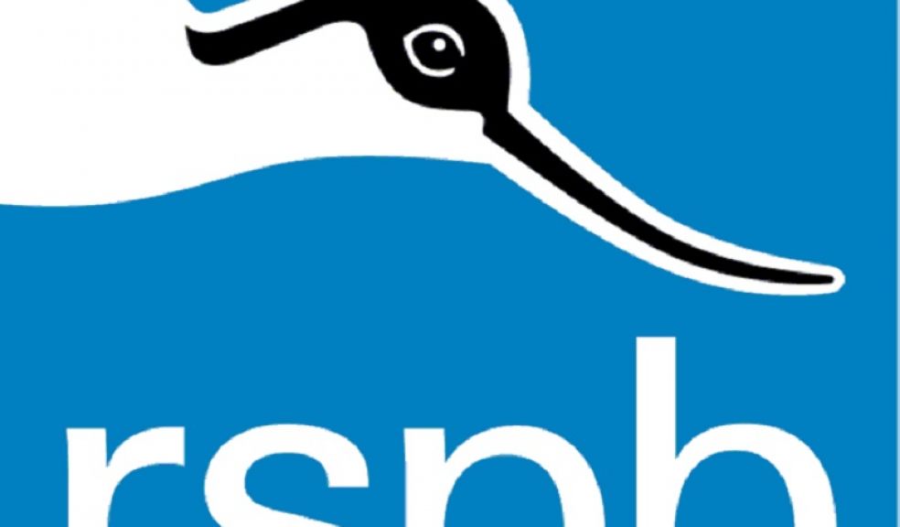 RSPB Pond dipping and tractor ride at Aylesbeare Common The Exeter